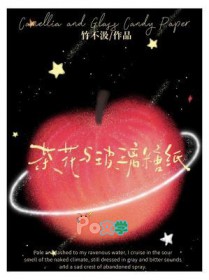 茶花与玻璃糖纸