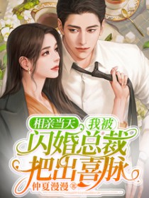 相亲当天,我被闪婚总裁把出喜脉